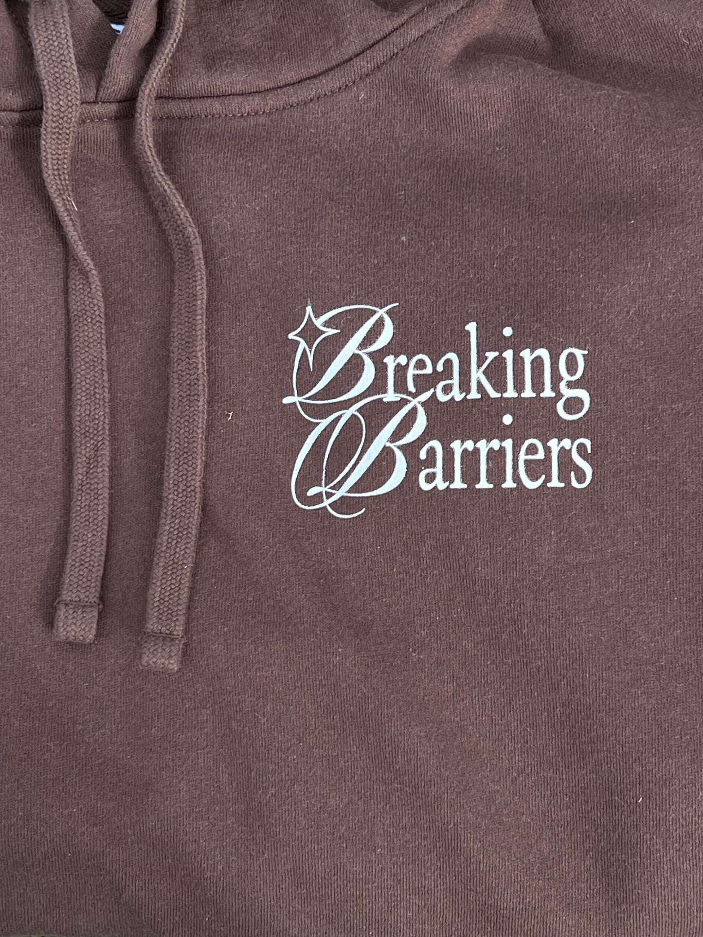 Breaking Barriers Hoodie